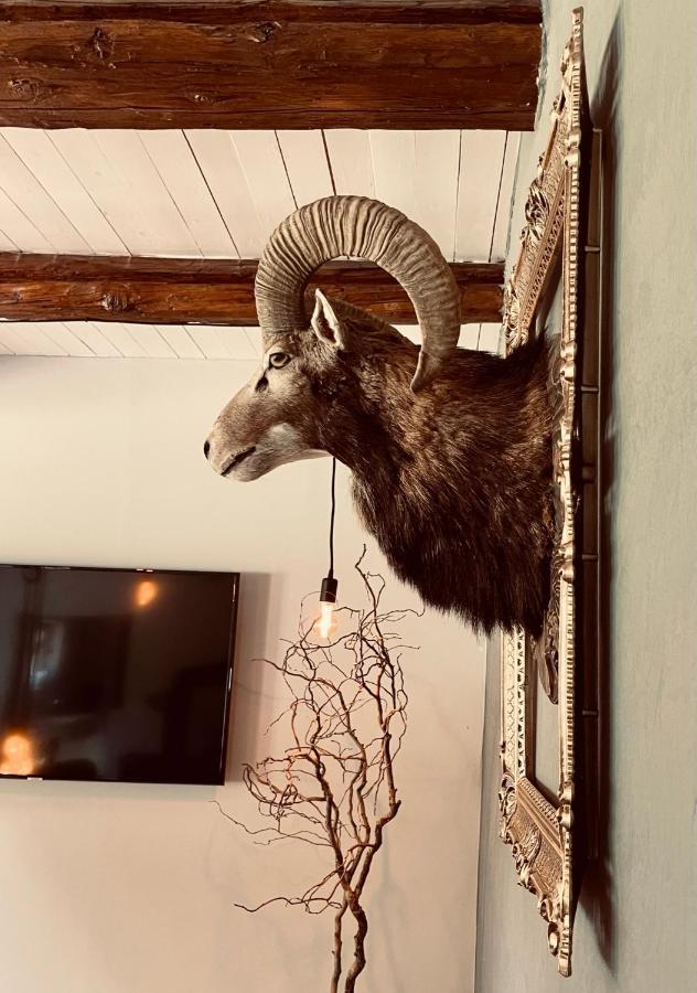 Chalet Sch-L-Afbock Markranstädt Εξωτερικό φωτογραφία